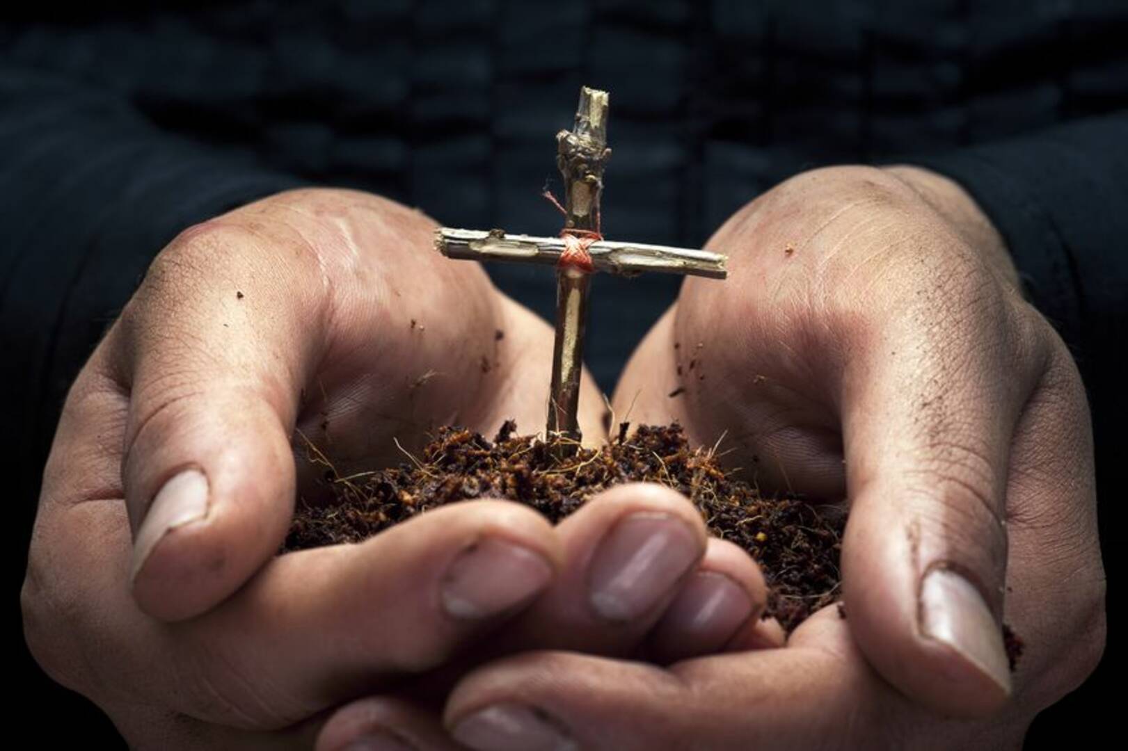 Explore Biblical Teaching in Northville MI with Ward Church Today
