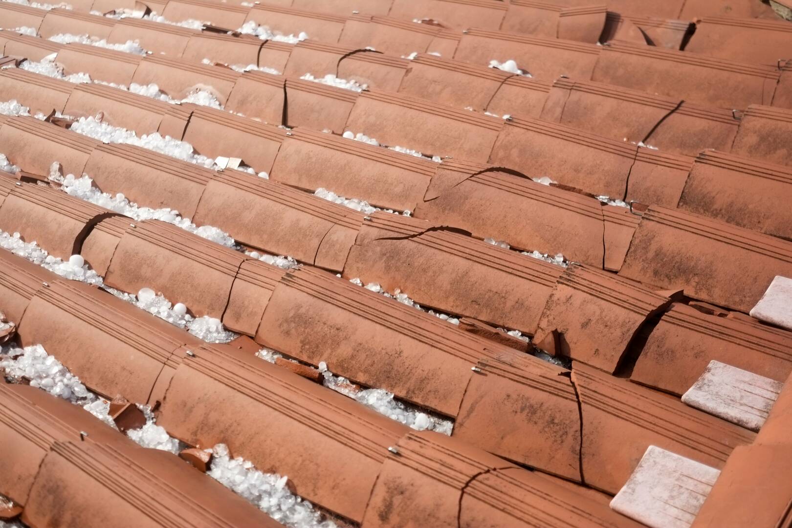 Residential Roof Cleaning Fort Myers FL